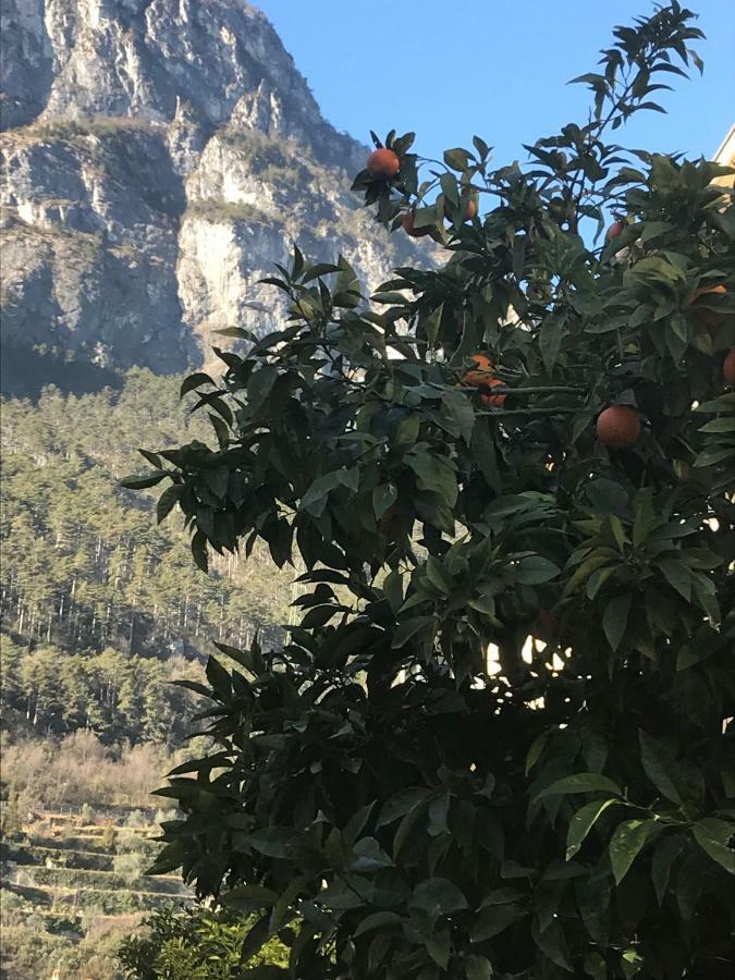 Apartamento Casa Nika Riva del Garda Exterior foto